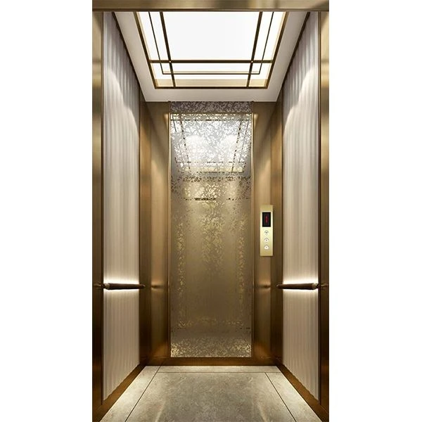 FUJI Simple Home Elevator
