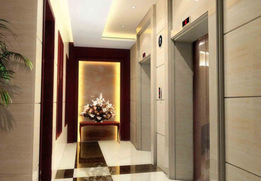 Customization Villa Elevator Customization Villa Elevator