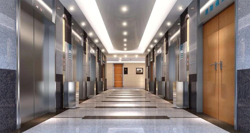 Most competitive 1000kg passenger elevator Most competitive 1000kg passenger elevator
