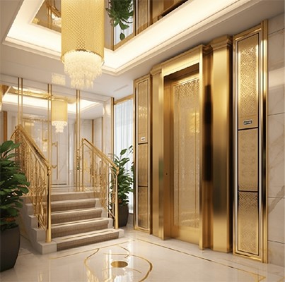 FUJI mini home elevators safety features FUJI mini home elevators safety features